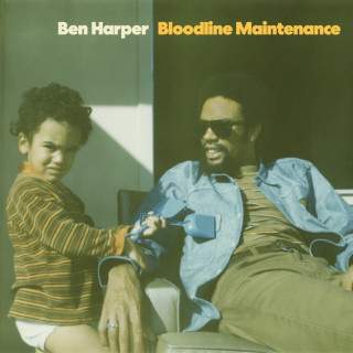 Ben Harper - Bloodline maintenance lyrics