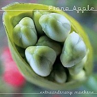 Fiona Apple - Extraordinary machine lyrics