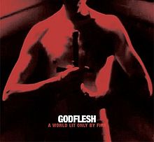 Godflesh - A world lit only by fire lyrics