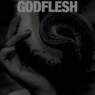 Godflesh - Purge lyrics
