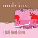Melvins - Hostile Ambient Takeover lyrics