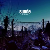 Suede - The blue hour lyrics