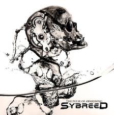 Sybreed - The Pulse Of Awakening lyrics